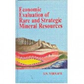 Economic Evaluation of Rare and Strategic Mineral Resources
